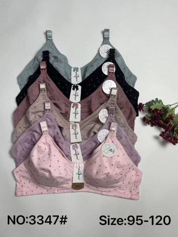 whatsapp image 2026 01 17 at 12.44.16 whatsapp image 2026 01 17 at 12.44.16