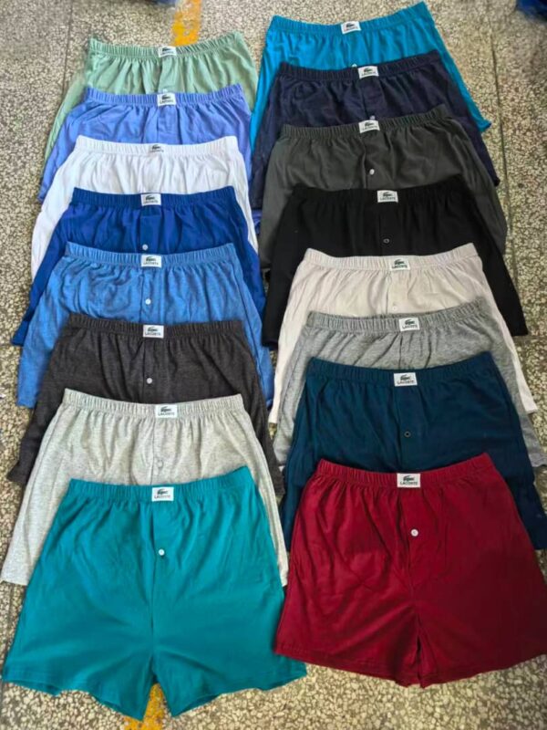 whatsapp image 2026 01 17 at 16.38.01