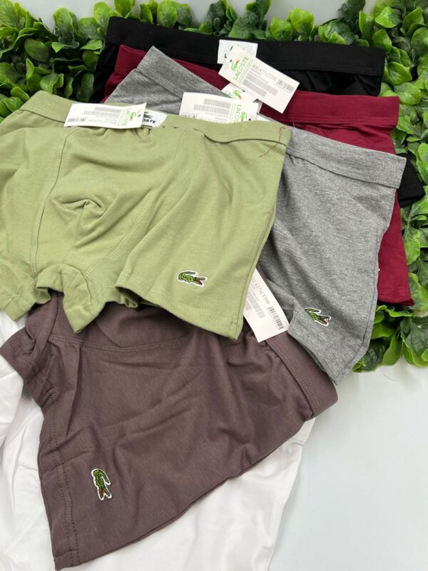 whatsapp image 2026 01 17 at 16.42.49