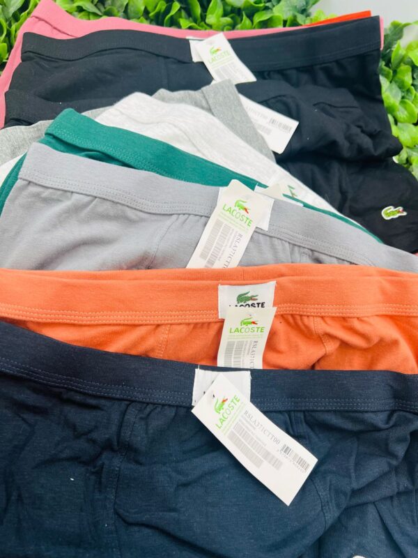 whatsapp image 2026 01 17 at 16.42.50 (1)