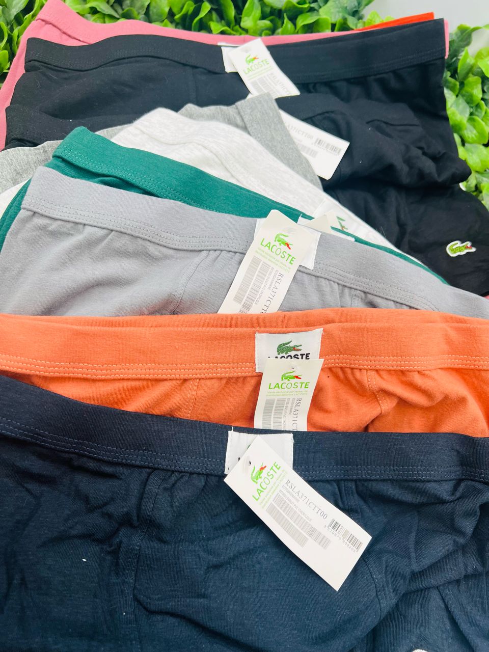 whatsapp image 2026 01 17 at 16.42.50 (1) whatsapp image 2026 01 17 at 16.42.50 (1)