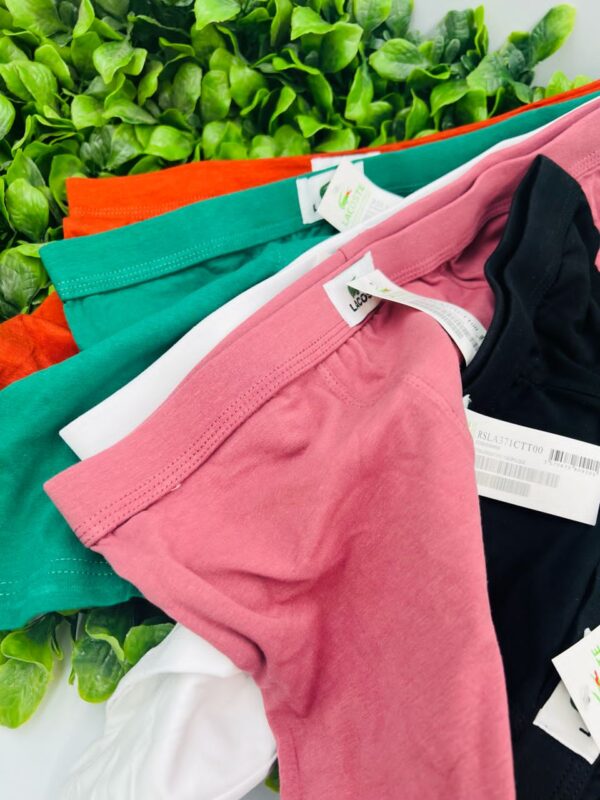 whatsapp image 2026 01 17 at 16.42.51 (1)