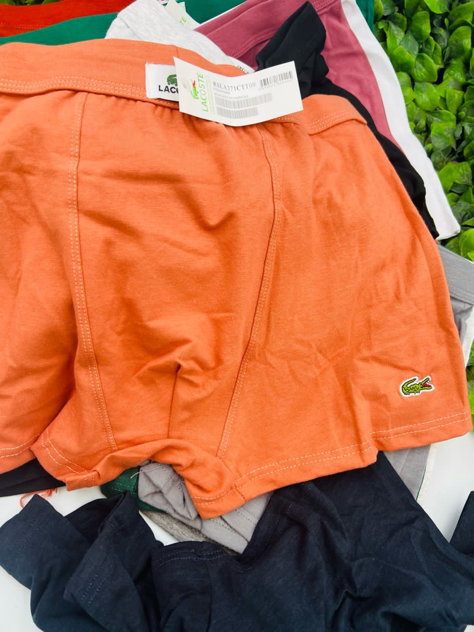 whatsapp image 2026 01 17 at 16.42.51 whatsapp image 2026 01 17 at 16.42.51