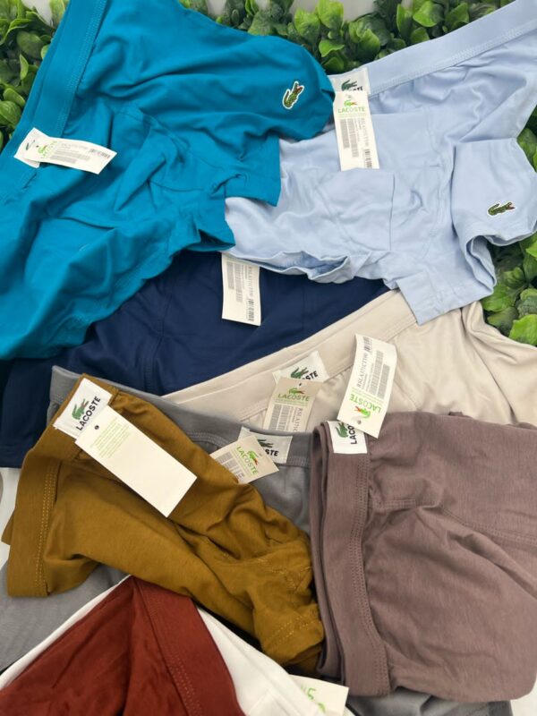 whatsapp image 2026 01 17 at 16.42.52 (1)