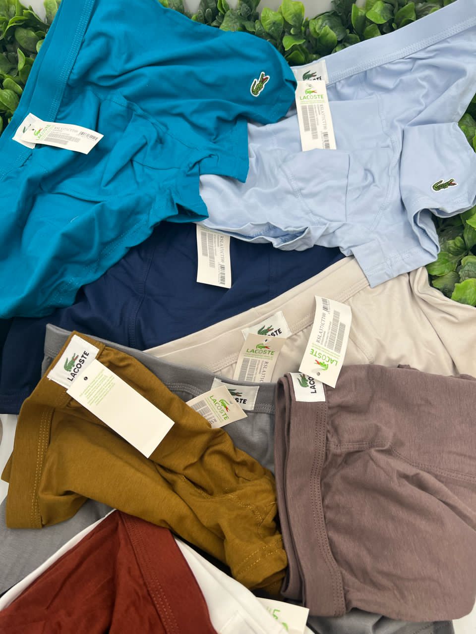 whatsapp image 2026 01 17 at 16.42.52 (1) whatsapp image 2026 01 17 at 16.42.52 (1)