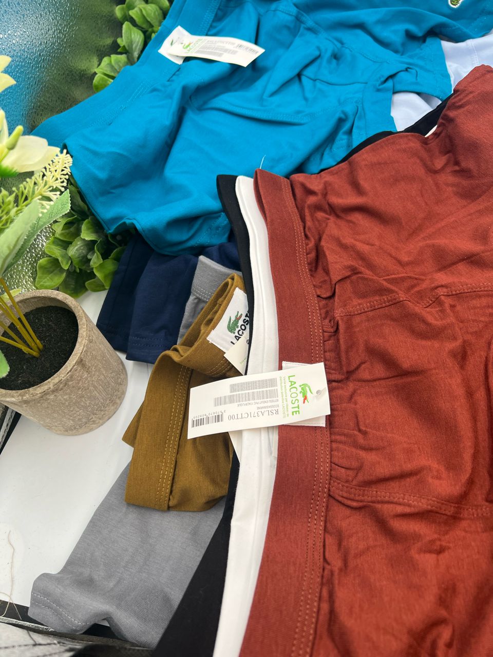 whatsapp image 2026 01 17 at 16.42.52 whatsapp image 2026 01 17 at 16.42.52