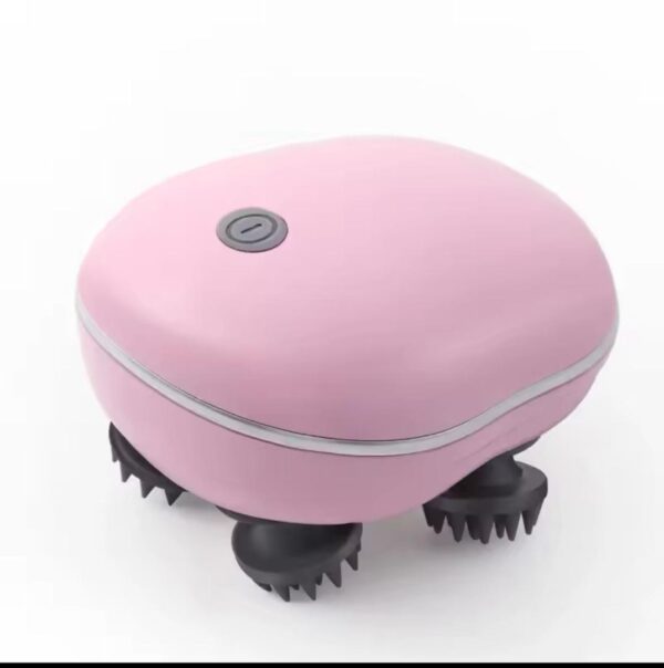 whatsapp image 2026 02 06 at 18.12.02