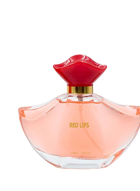 whatsapp image 2026 02 16 at 14.57.56